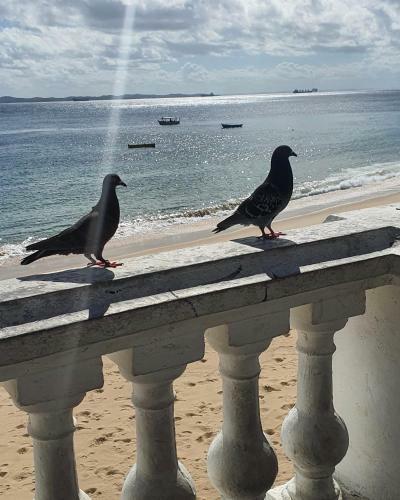Apartamento Encantos Do Porto Da Barra