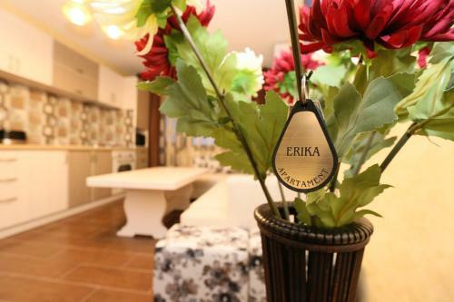 Apartament Erika