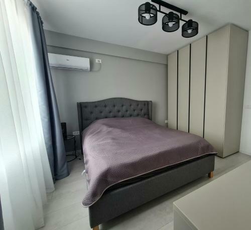 Dolphin Apartment Near Neversea Beach