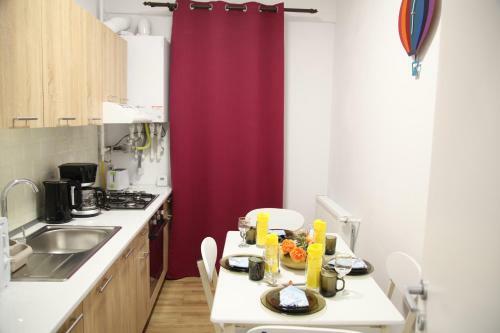 Luxury Downtown Apartment