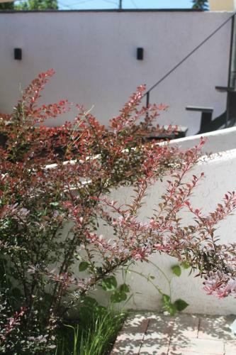 Apartamento Oina Studio House
