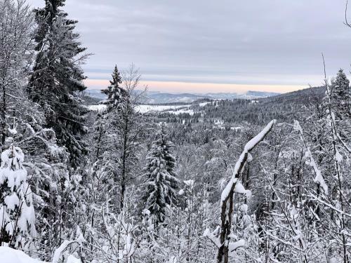 Vikendica Bonema, Sekulic Tara