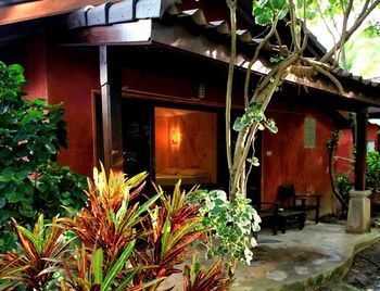 Hotel Cactus Bungalow