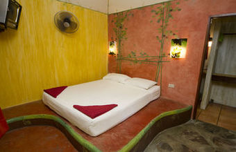 Hotel Cactus Bungalow