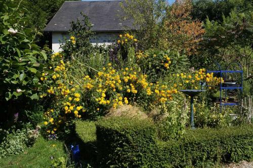 Bed & Breakfast Cottage De Claids