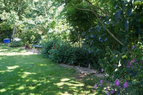 Bed & Breakfast Cottage De Claids