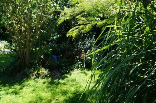Bed & Breakfast Cottage De Claids
