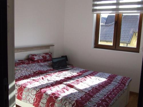 Apartman ?arli