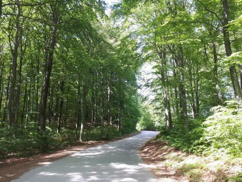 Agroturismo Stuga Bra Nock