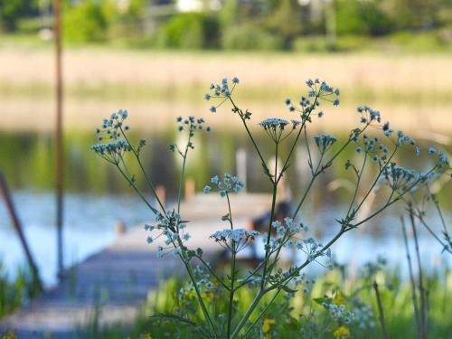 Holiday Home Eskilstuna II