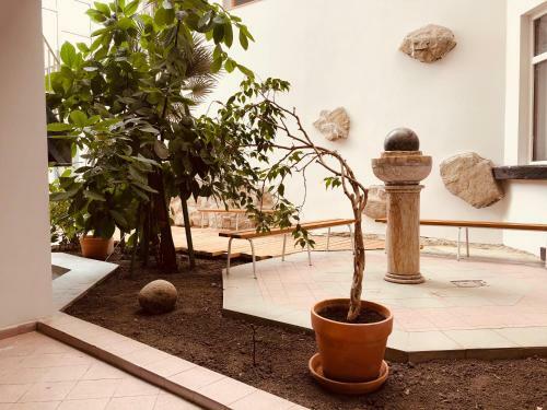 Apartm�ny Reduta