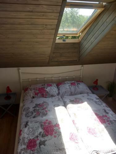 Apartm�ny M�?a