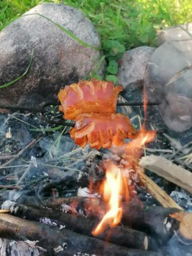 Oravsk� Dreveni?ka