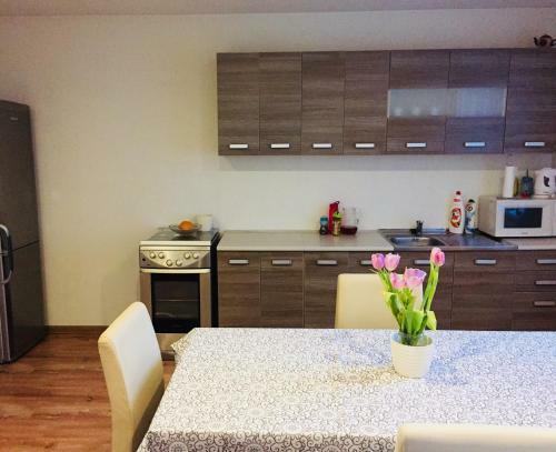 Family Apartments Myto Pod Dumbierom