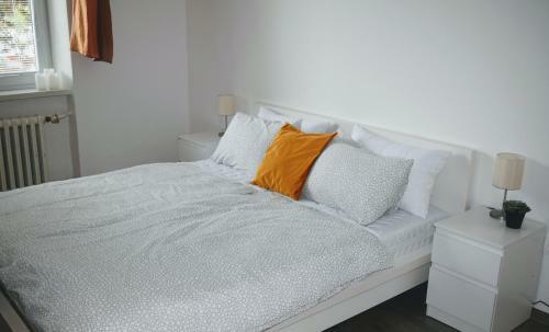 Center City Apartment