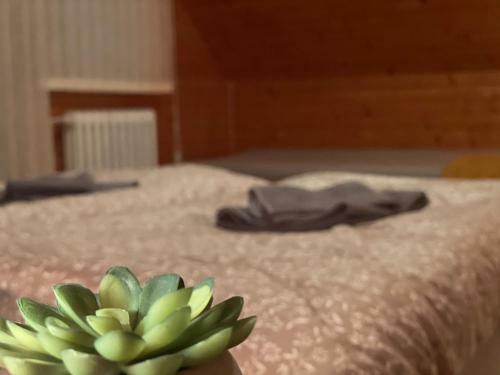 Apartm�n Na Hranici