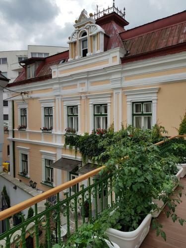 Hostal Villa Vodicka