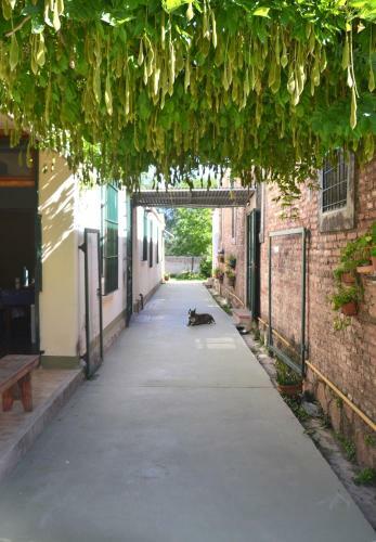 Apartamento B&B Garden Atelier
