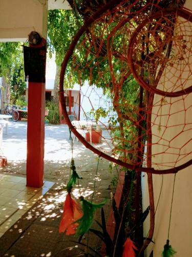 Hostal Hostel Orion
