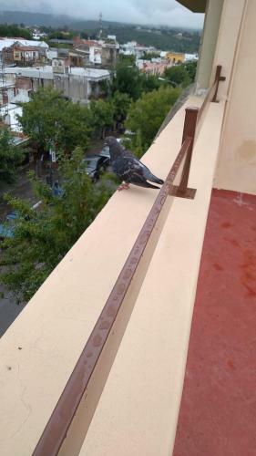 Apartamento Terraza La Falda
