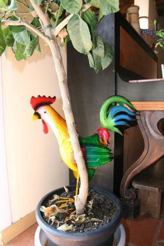 Agroturismo Biologite