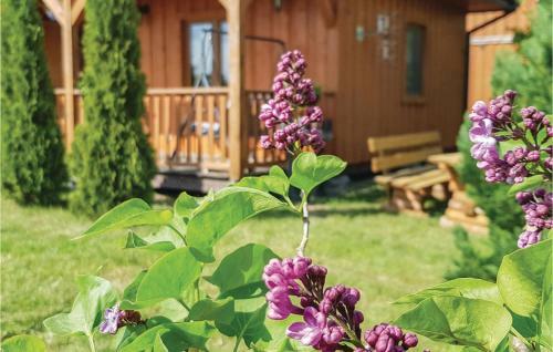 Holiday Home Cisowa N-929