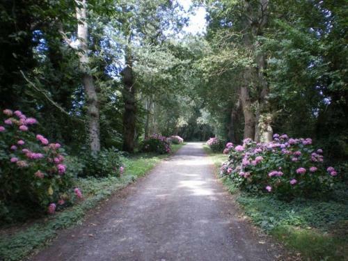 Bed & Breakfast Ch�teau De Bonabry