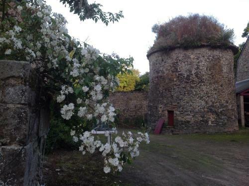 Bed & Breakfast Ch�teau De Bonabry