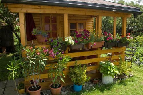 Privat Liska