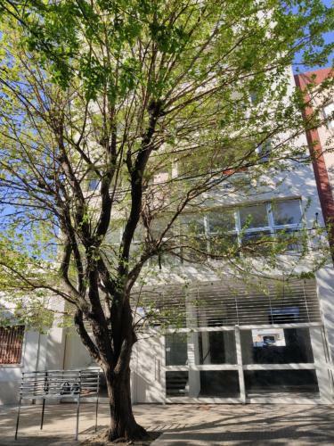 La Plata Moderno Apart
