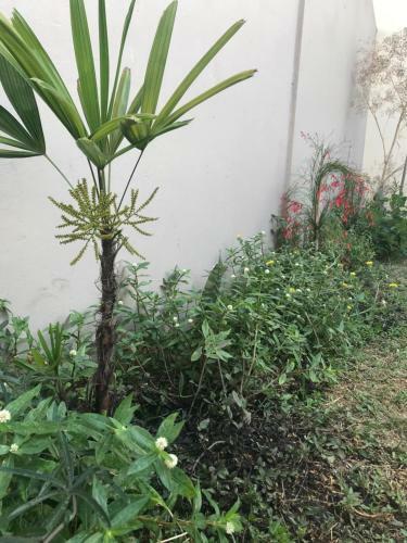 Apartamento Depto 26