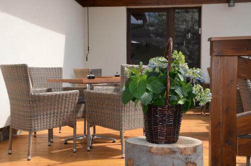 Hostal Penzi�n Darinka