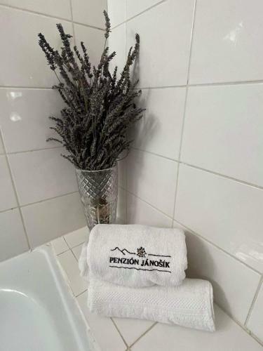Hostal Penzi�n J�no?�k , ?diar