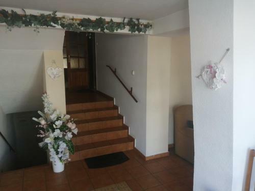 Hostal Penzi�n Nez�budka