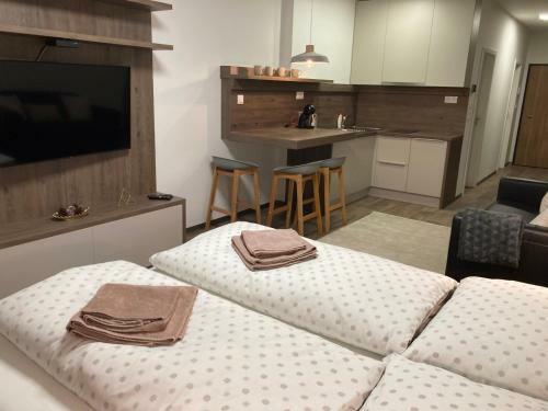 Apartm�ny Abies - ?trbsk� Pleso