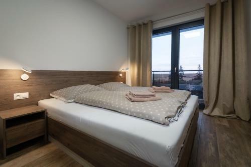 Apartm�ny Abies - ?trbsk� Pleso