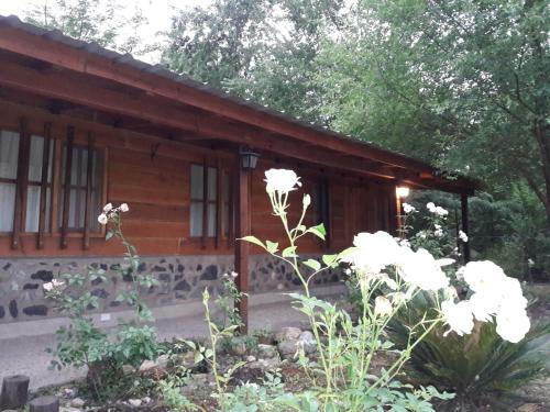 Posada Caba�as Brisas Del Bosque