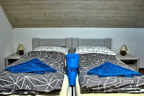 Lodge Vila Zgraja