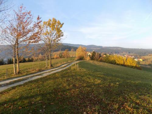 Apartment Zeleni Dragulj Pohorje
