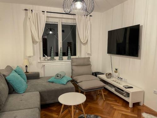 Gozdni Raj Rogla Apartma