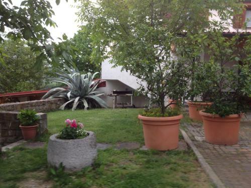Apartments Klabjan