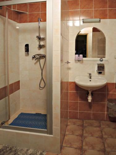 Hotel Penzionlivia,tr.teplice