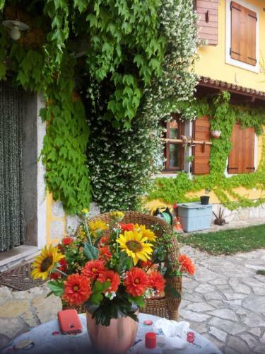 Rozina Vacation House