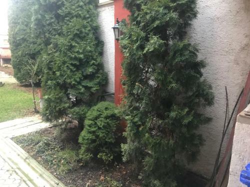 Apartm�n Jeruzalemsk�