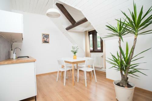 Hostal Penzi�n Branecky