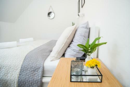 Hostal Penzi�n Branecky