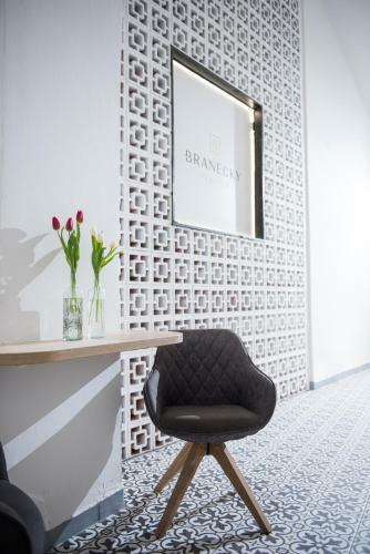 Hostal Penzi�n Branecky