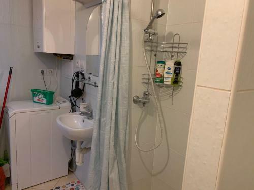 Apartmen Zelenecska