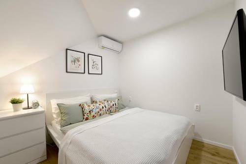 Apartm�n S �triom V Historickom Centre