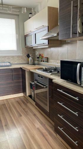 Apartment Safarikova